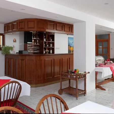 U Aleny Guest house *