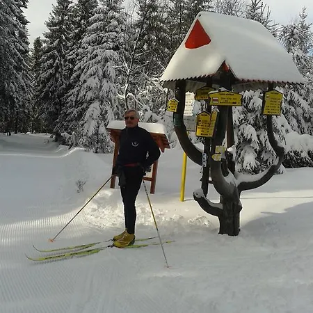 Guest house U Aleny 3*