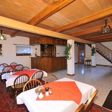 U Aleny Guest house *