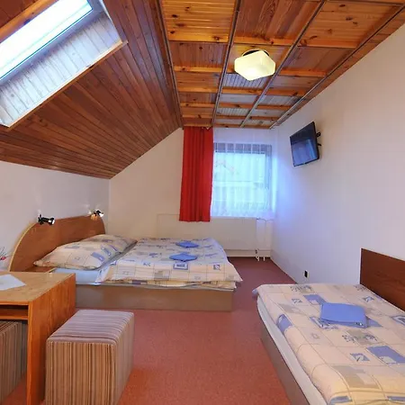 Guest house U Aleny 3*