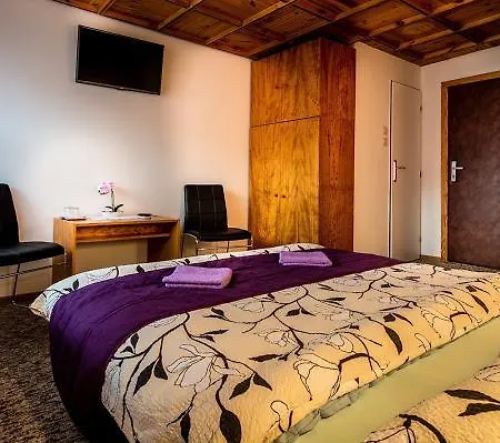 U Aleny Guest house *